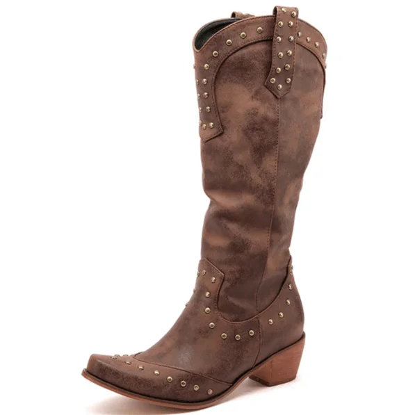 Santiags Marron pour Femme