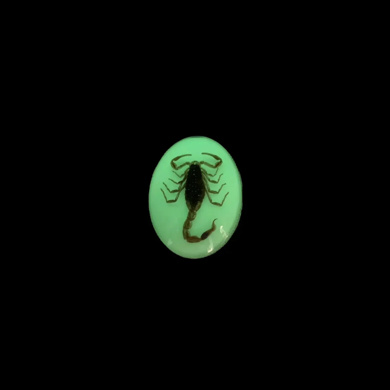 Bolo Tie Scorpion en Cuir